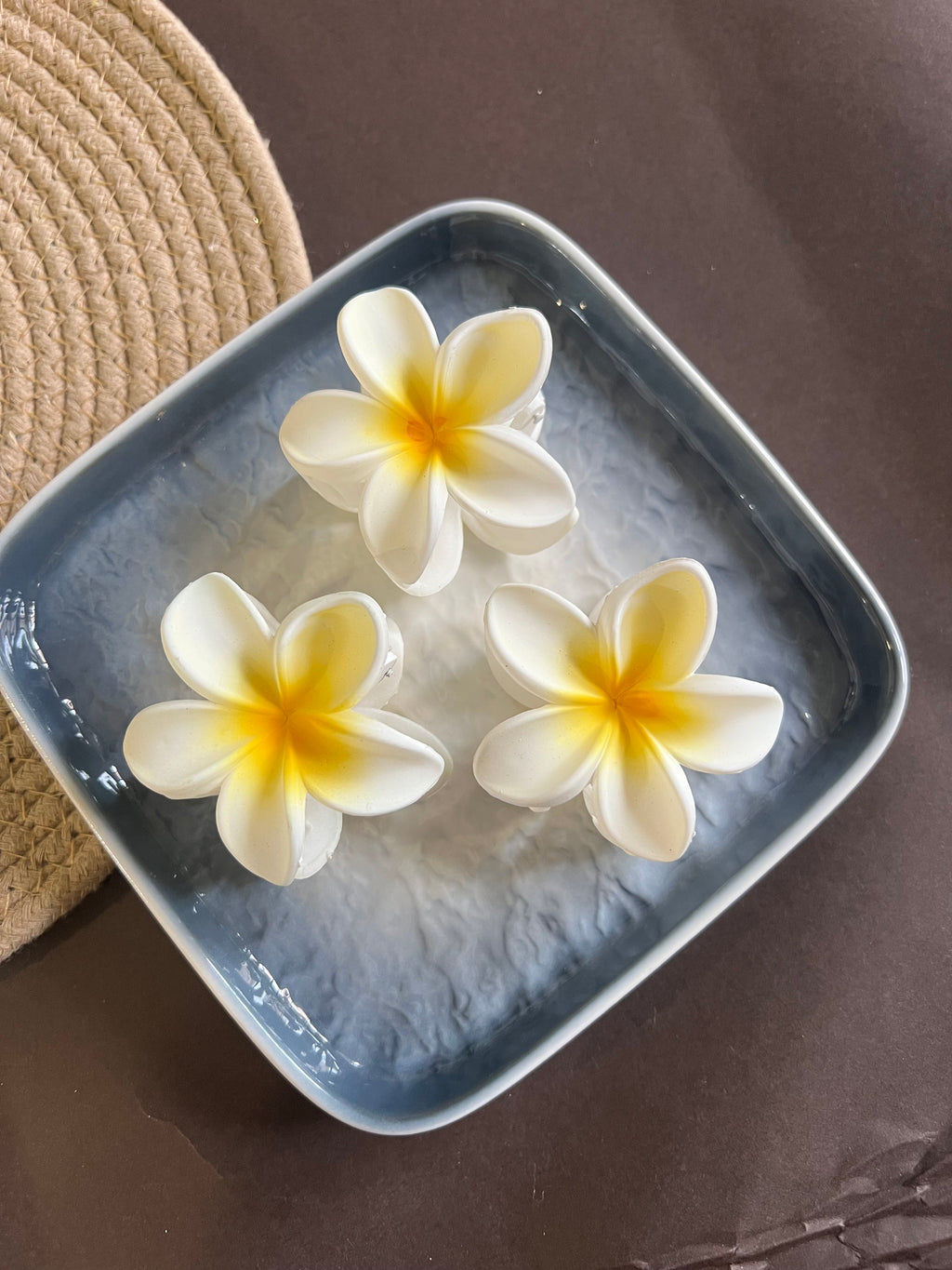 Classic White Flower Clips