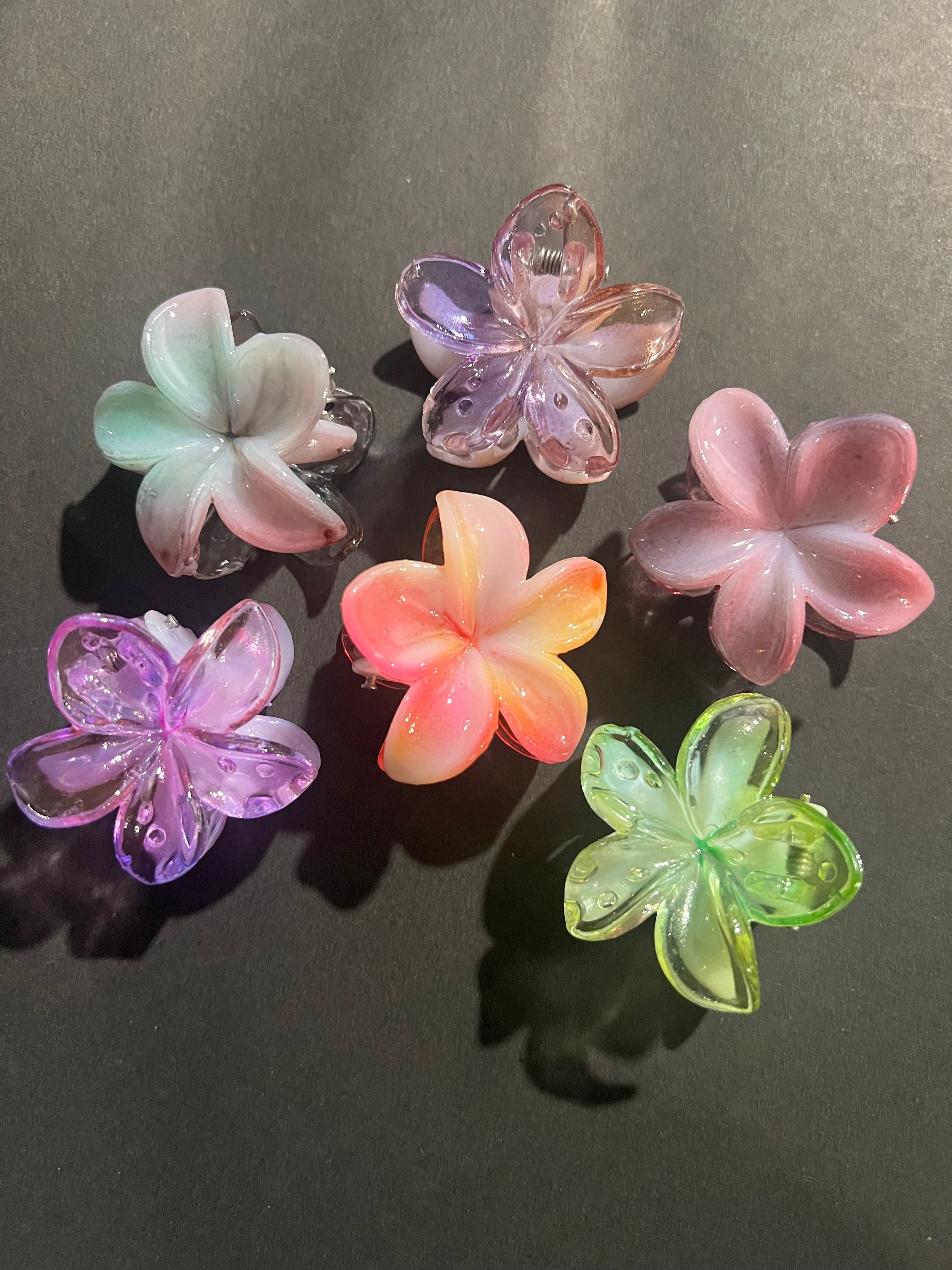 Ombre Blossom Hair Clips